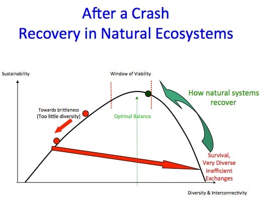 Source: Lietaer & Dunne (authors of Rethinking Money) - powerpoint slides during Madison, WI workshop, 4/2013
